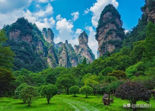 世界最美森林公园排名前十(十大森林公园排行榜)插图4