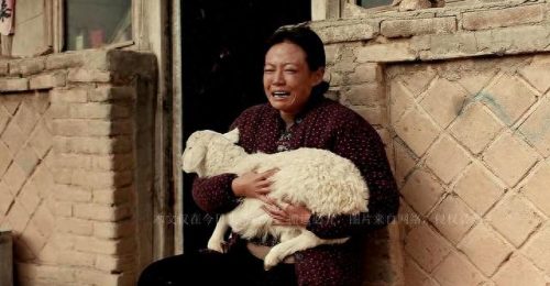 中国十大最高分电影排行榜(中国十大经典电影排名)插图2