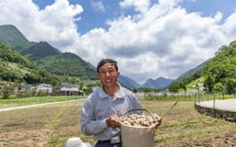 巫溪专业搬运工排名前十(巫溪附近搬运工排名)