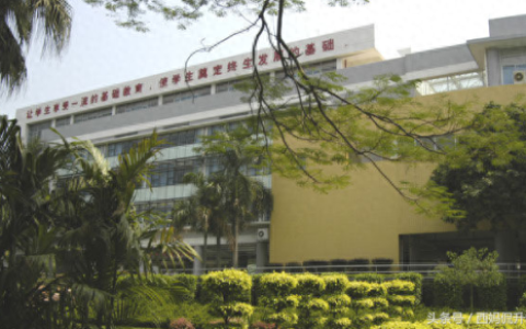 广州出名的小学排名前十(广州市十大最好小学)