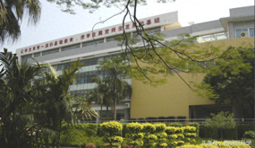 广州出名的小学排名前十(广州市十大最好小学)插图