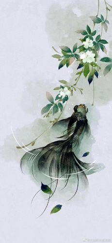 鱼鱼桌面秀(鱼鱼桌面秀侧边栏)插图126