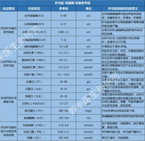 肝功能正常参考值(肝功正常参照表)插图4