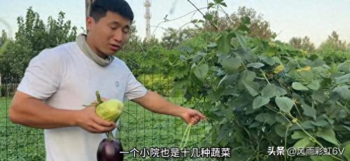 创业博主排名前十(炒股十大网红)插图1