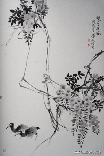 白腹凯克鹦鹉(凯克多少钱一只)插图21