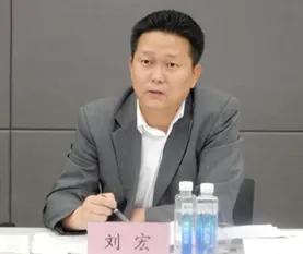 河北省高院副院长刘宏(河北刘宏事件真相最新)插图