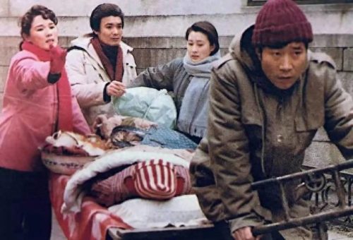 我人生的春天 电视剧(我人生的春天在线观看)插图