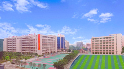 肇庆幼师排名前十(最好的幼师大学排名)插图