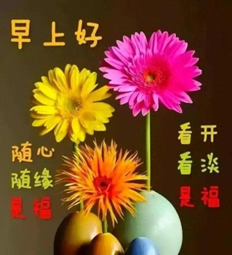 感恩图片2021新图片(感恩图片朋友圈配图)插图18