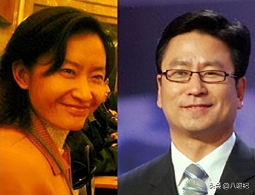 白岩松为什么被央视解雇了(白岩松事件的影响)插图16