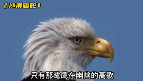 2018新歌排名前十(2018新歌前十名)插图5