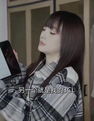 李小璐生女(李小璐贾乃亮最新消息)插图3