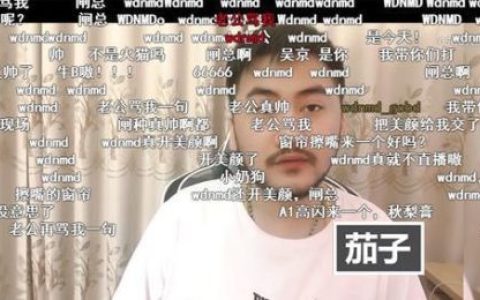 wdnmd什么意思(wdnm什么意思)