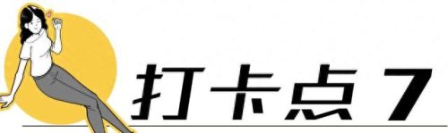 荷兰旅游排名前十(荷兰花海)插图41