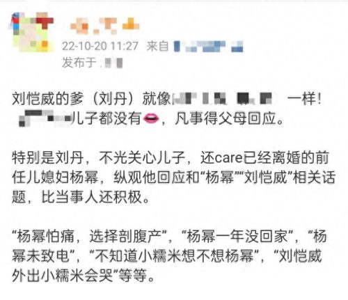 刘丹刘恺威(刘丹个人资料)插图5