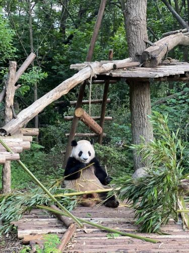 杭州繁育公司排名前十(杭州生物公司排行榜)插图1