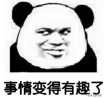 美国警车排名前十(美国道奇警车charger)插图2