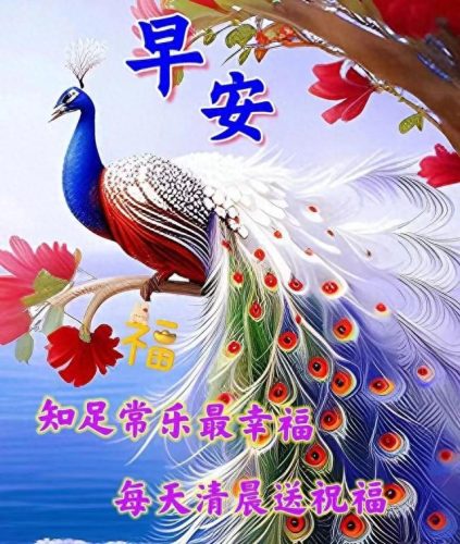 心存感恩图片(感恩图片)插图15