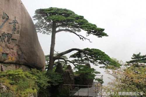 排名前十景点(日照旅游景点大全排名)插图1
