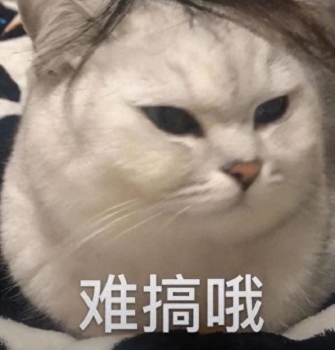 为什么王老吉改名加多宝(加多宝现状2023)插图6