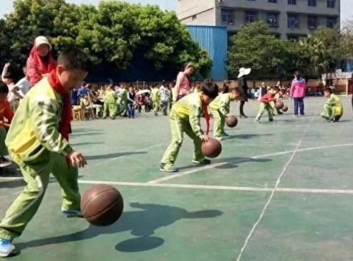 眉山市高新区小学排名前十(眉山最好小学排名前十)插图13