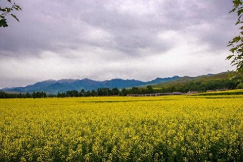 西宁烧烤排名前十(西宁烧烤十大排名)插图9