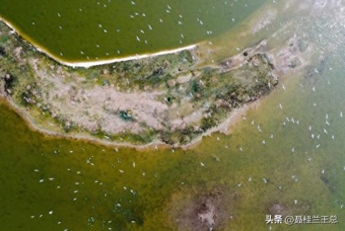 盐城水域排名前十(盐城市省内排名)插图40