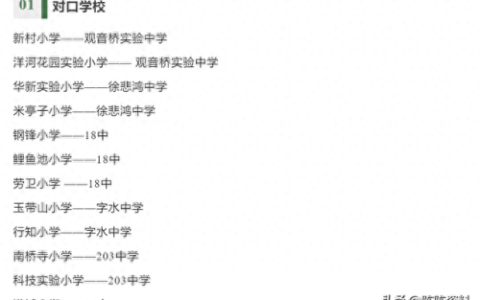 杨家坪中学 排名前十(杨家坪中学彩云湖校区高考升学率)