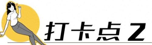 荷兰旅游排名前十(荷兰花海)插图8