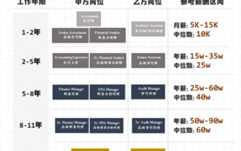 审计硕士工资排名前十(广州审计硕士)