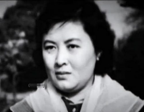 杨丽坤的儿子(杨丽坤大儿子简历)插图17