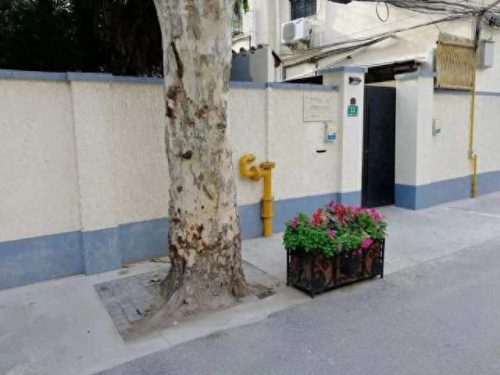 湖南公益超市排名前十(长沙超市排名前十名)插图17