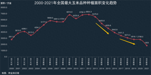 玉米产能排名前十(十大名玉米产量排名)插图2