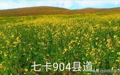 内蒙古20个景区排名前十(内蒙古十大五a景点)