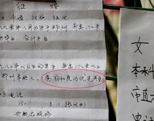 郑州相亲排名前十(郑州比较靠谱相亲的地方)插图3