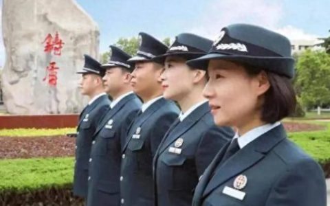 中国职位排名前十(中国历年职位排名)