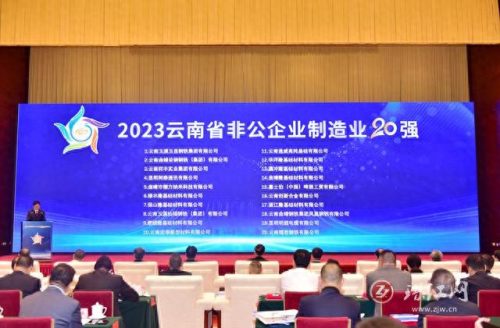 曲靖排名前十企业(曲靖龙头企业排名)插图4