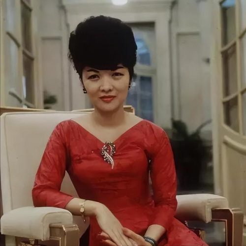 越南历史女人排名前十(越南五大美人)插图4
