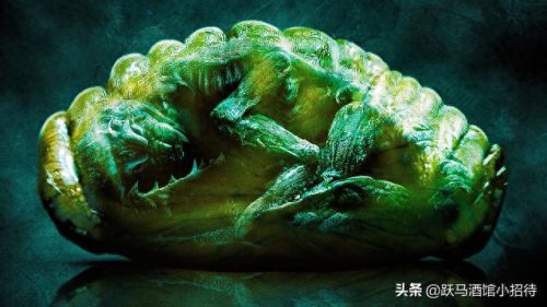 露西儿(青歌赛评委示范露西儿)插图19