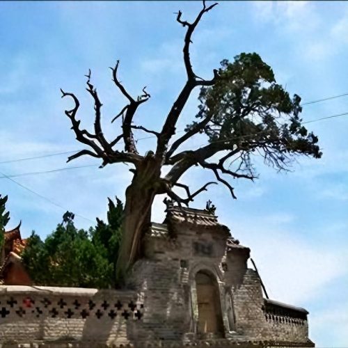 吉利景区排名前十(吉利区有哪些景点好玩)插图9