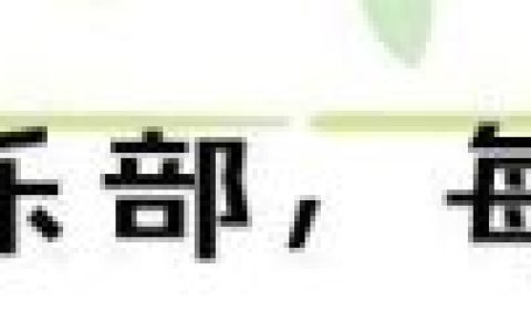 火影装扮排名前十(火影中什么饰品是最好的)