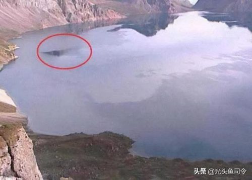 民间关于蛇的传说(有关蛇的传说)插图14