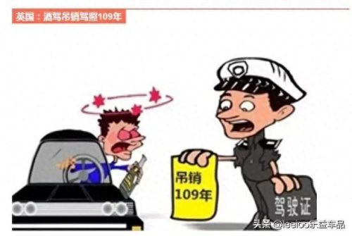 酒驾受惩罚排名前十的国家(摩尔多瓦酒驾惩罚)插图