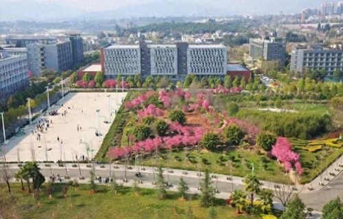 云南前十所专科学校排名(云南排名前十专科院校)插图2