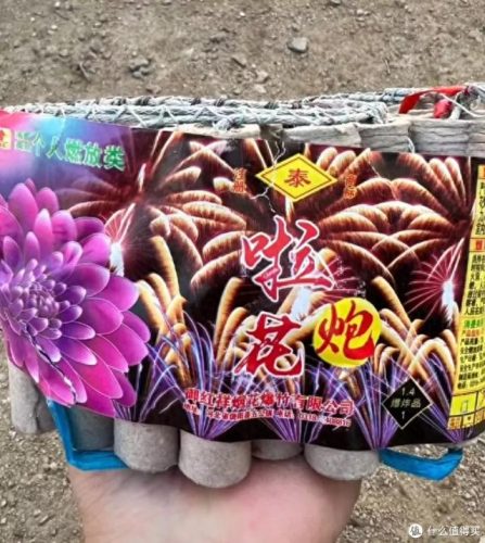 烟花热度排名前十(烟花排行前十名)插图10