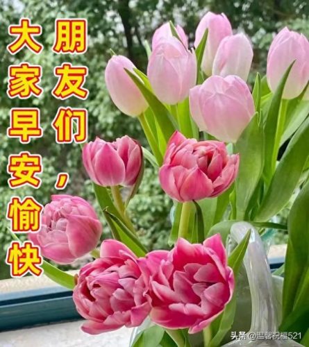 521创意图片(521有意思的图片)插图1