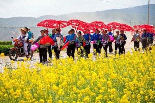 弥渡农庄排名前十(弥渡董记生态农庄)插图35