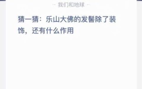 乐山大佛的发髻(乐山大佛发髻的作用)