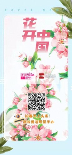 移动彩铃网站(12530彩铃个人管理)插图