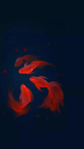 鱼鱼桌面秀(鱼鱼桌面秀侧边栏)插图85